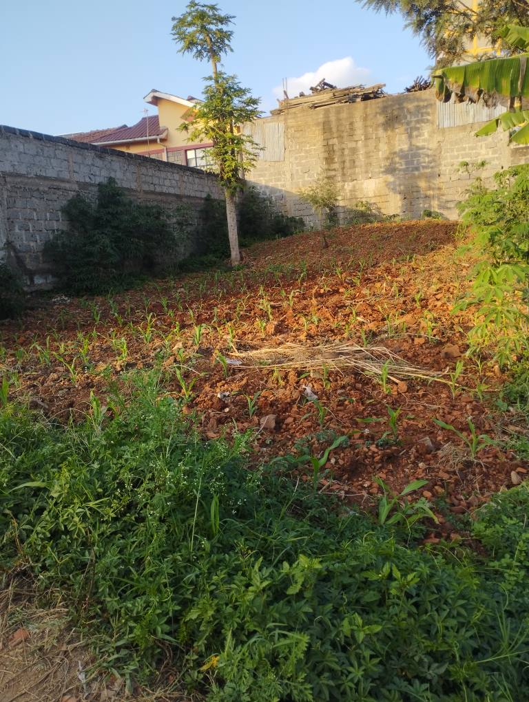 residential plots