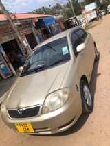 used toyota runx