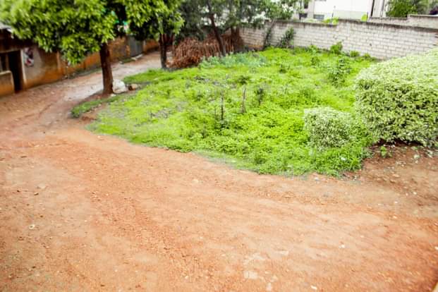 kinyinya accommodation
