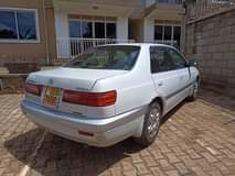 A picture of Premio super 20m
