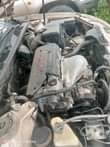 A picture of Camry big Daddy