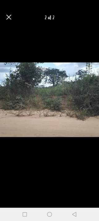 A picture of SHAMBA KIWANJA HEKA TATU LINAUZWA LIPO KARIBU NA VETA MZENGA