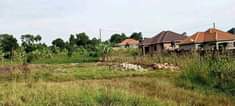 A picture of 50 100 feet plot with ready land title starts from