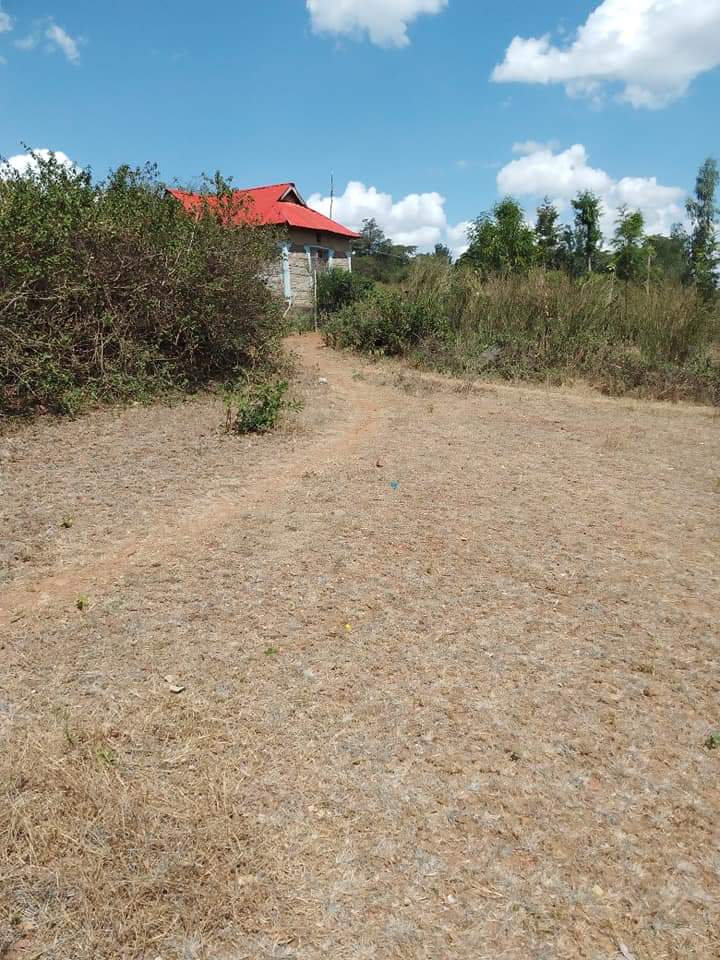 Lands &.