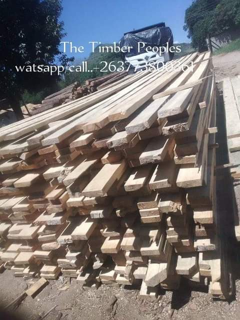 timber