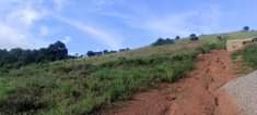 A picture of 40 DECIMALS OF LAND ON SALE SSISA 7KMS FROM MAIN