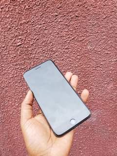 A picture of 8plus