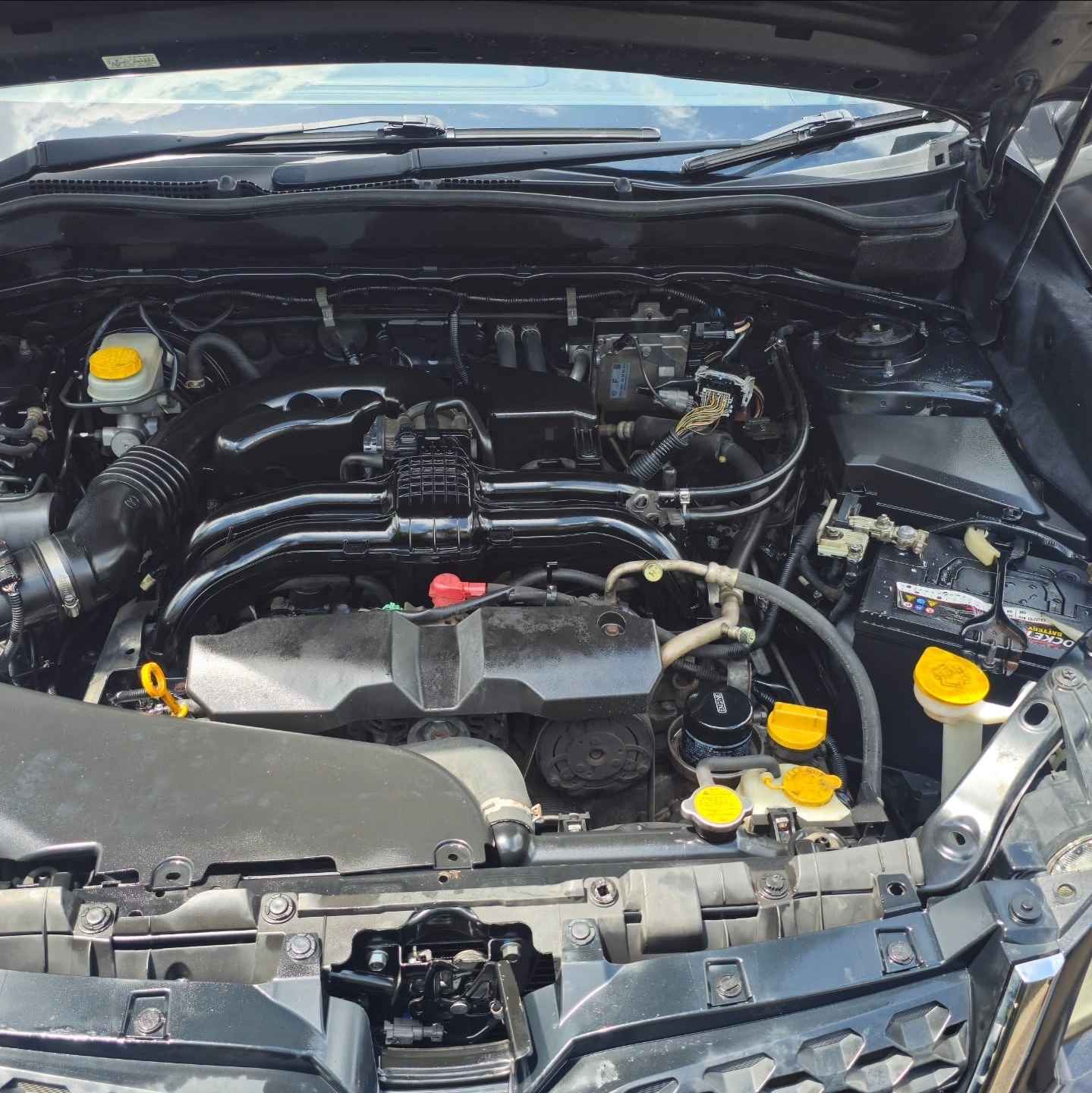 subaru forester