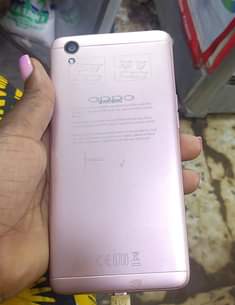 A picture of Oppo A37