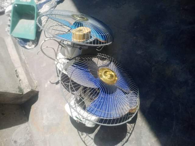 fans