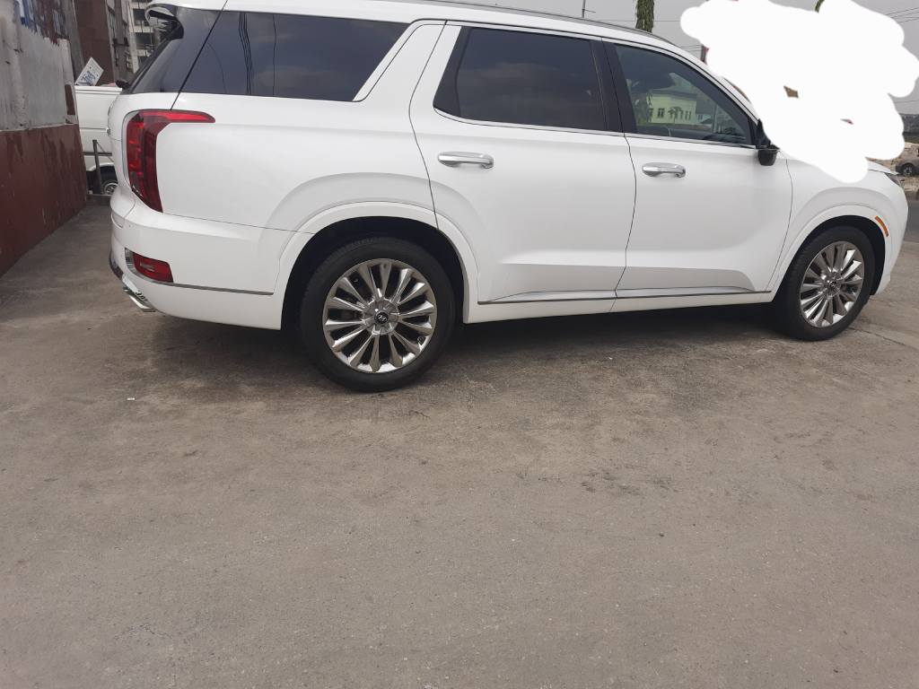 A picture of Clean PALISADES Direct Belgium model 2020 21 3seater Full options