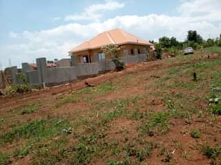 Ssentumbwe B.