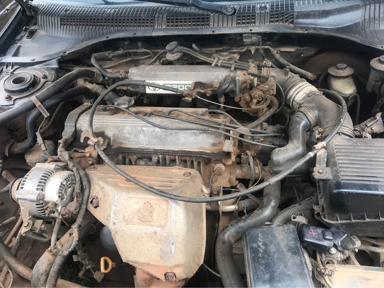 A picture of Carina E Wagon 08029557355