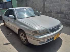A picture of Premio
