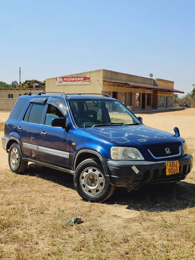 Mpumalanga L.
