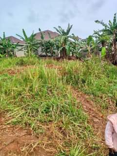 Ssempa P.