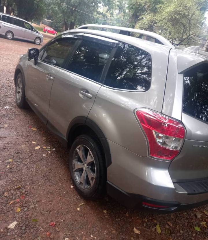 A picture of Subaru