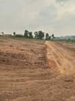 A picture of Matuga kilyagonja Estate