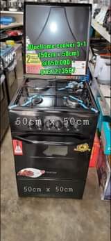 A picture of Blueflame cooker