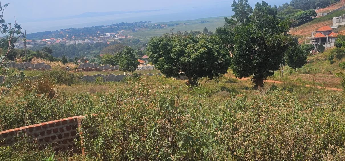 A picture of Plots for sale