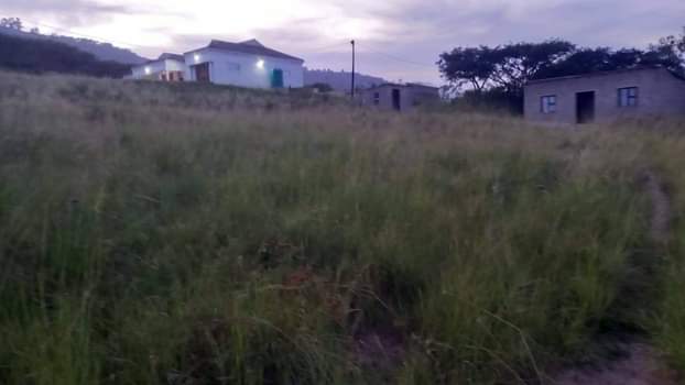 KZN A.