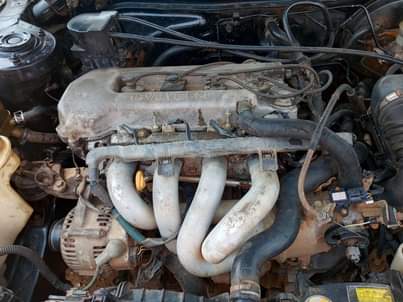 A picture of Toyota Corolla 1998
