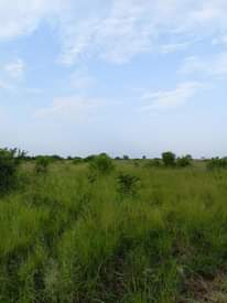 A picture of Kiwanja kinauzwa kiluvya makurunge milion 6 ukubwa sqm 612