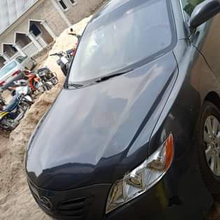 A picture of Muscle n CRV
