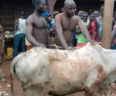 A picture of ASUMAN