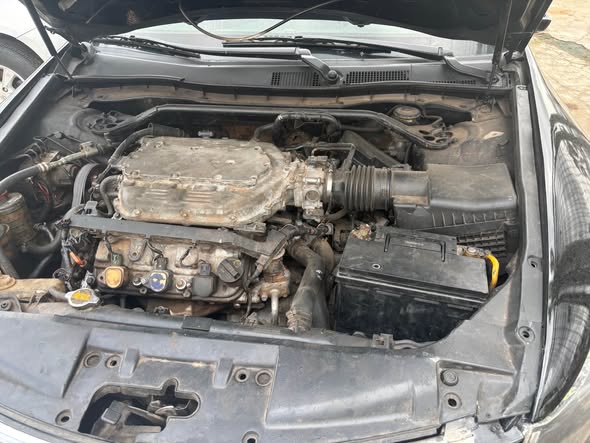 A picture of Honda accord 09