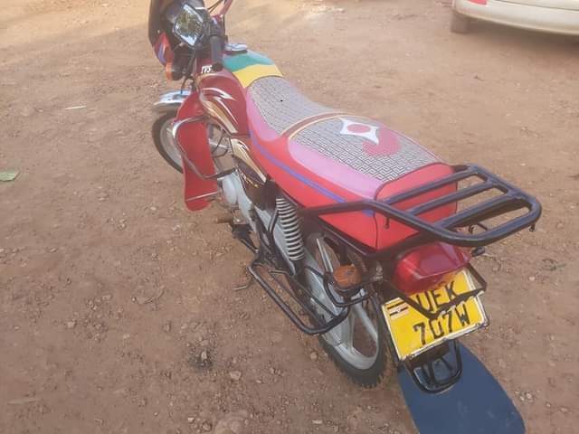 motorbikes