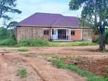 A picture of NEW SITE NOW OPEN 50x100FT with landtitle Located matugga Rwemwedde
