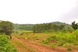 A picture of GOBERO KYEGEZA ESTATE 50BY100 AT 6M ONLY AGREEMENT LAND
