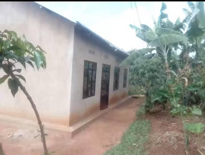 houses for rent