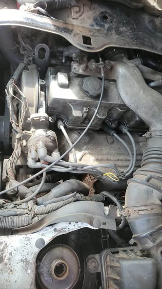 A picture of Nissan bus