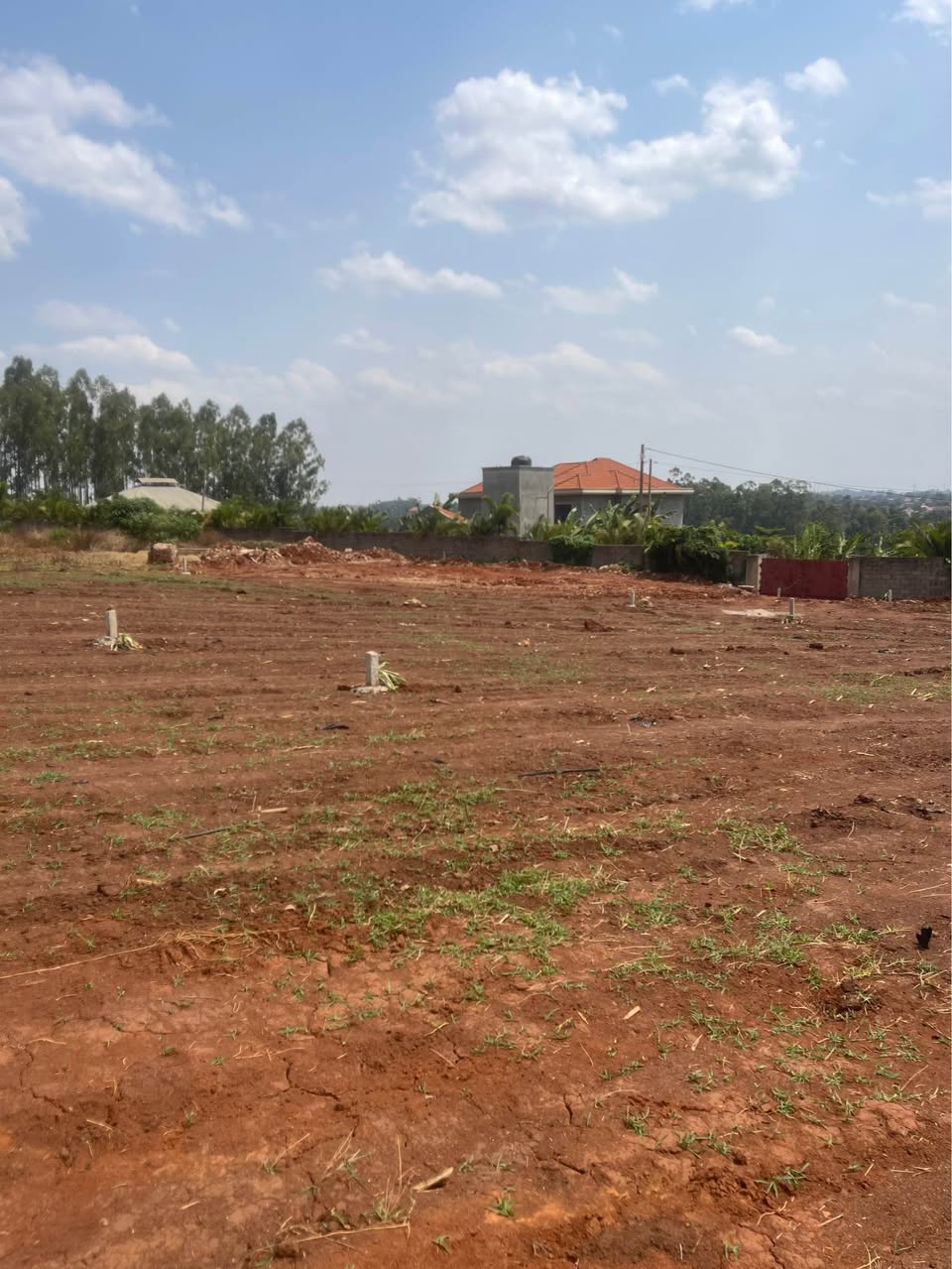 A picture of Plots for sale in Kira Kitukutwe 50Ft by 100Ft at