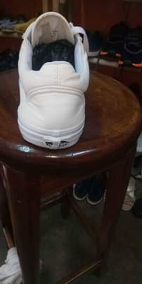 A picture of VANS