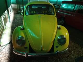 VW Beetle Rotary: For Sale South Africa