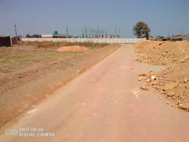 stands