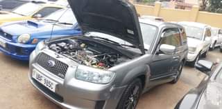 A picture of Subaru Forester cross sport