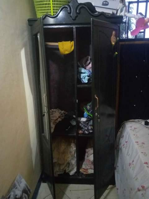 A picture of  Kabati hilo la nguo kama linavoonekana milango miwili kipengele