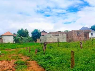 A picture of  MATUGGA TOWN SITE All installments allowed 25x40ft..................... 4M 40x40ft.............