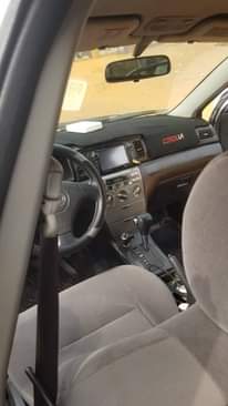 A picture of 2007 Allex car