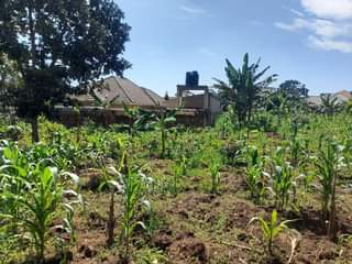 A picture of One acre for sale Namugongo Sonde ministers village private mailo