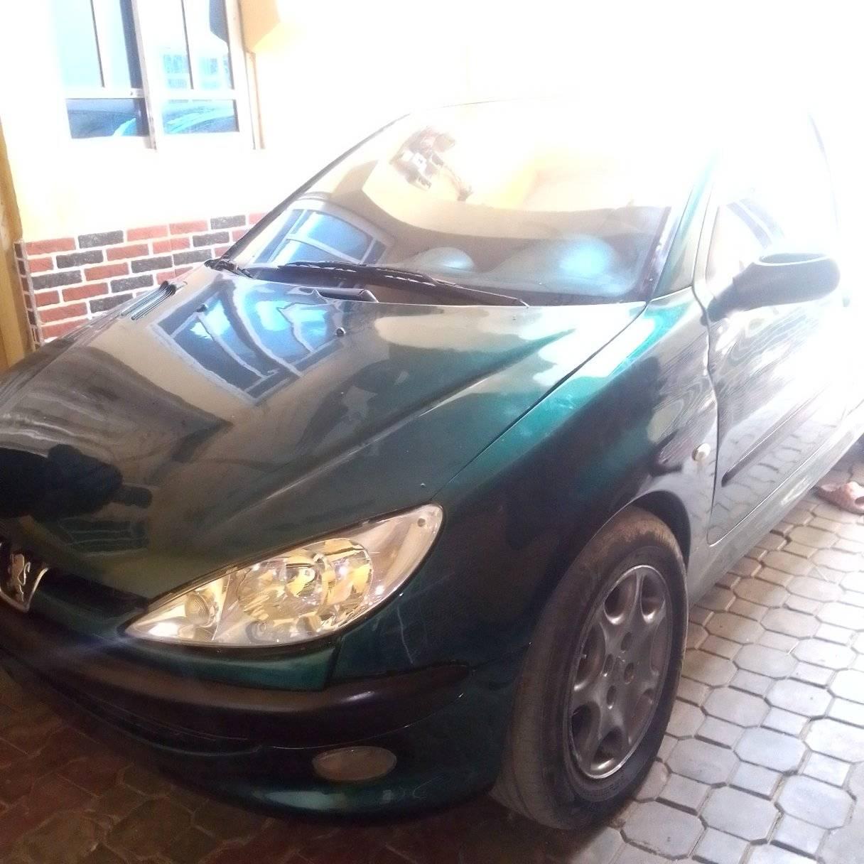A picture of 206 auto