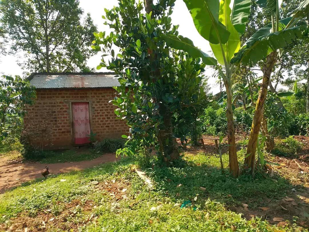 Bakirabo P.