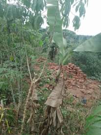 A picture of Plot 20x50 ft at 4millions call 0705873033