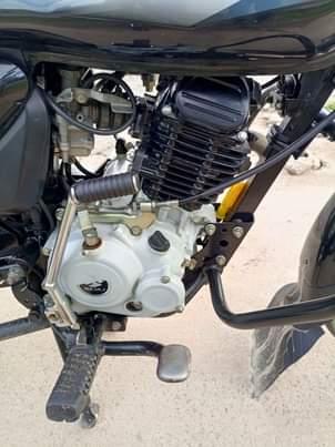 A picture of Boxer mb cc 125