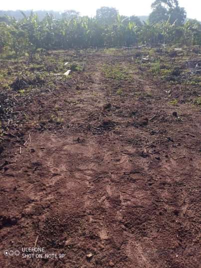 A picture of Vamubupangisa part one New estate site in katende masaka road
