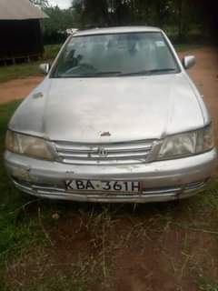 nissan primera